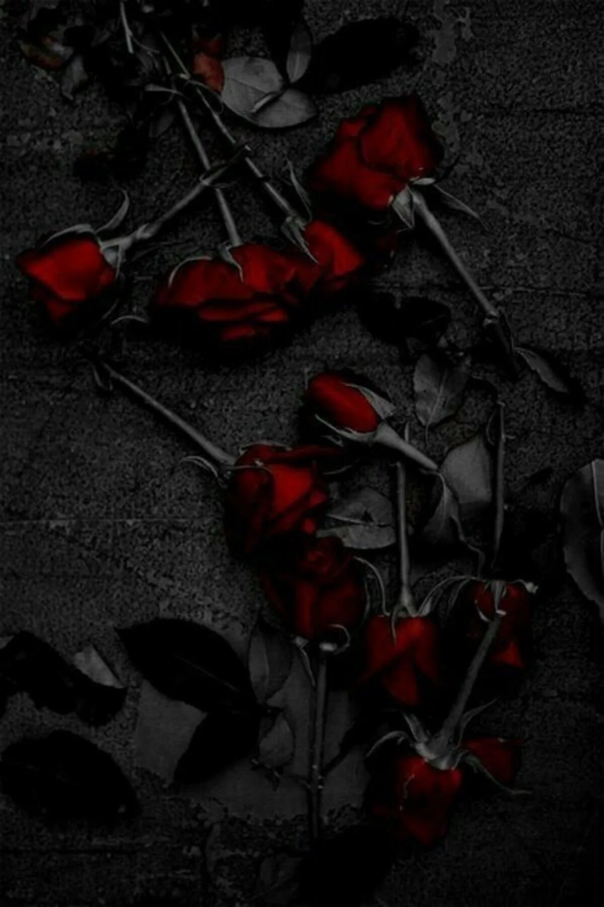 Мрачные цветы. Красно черные цветы.