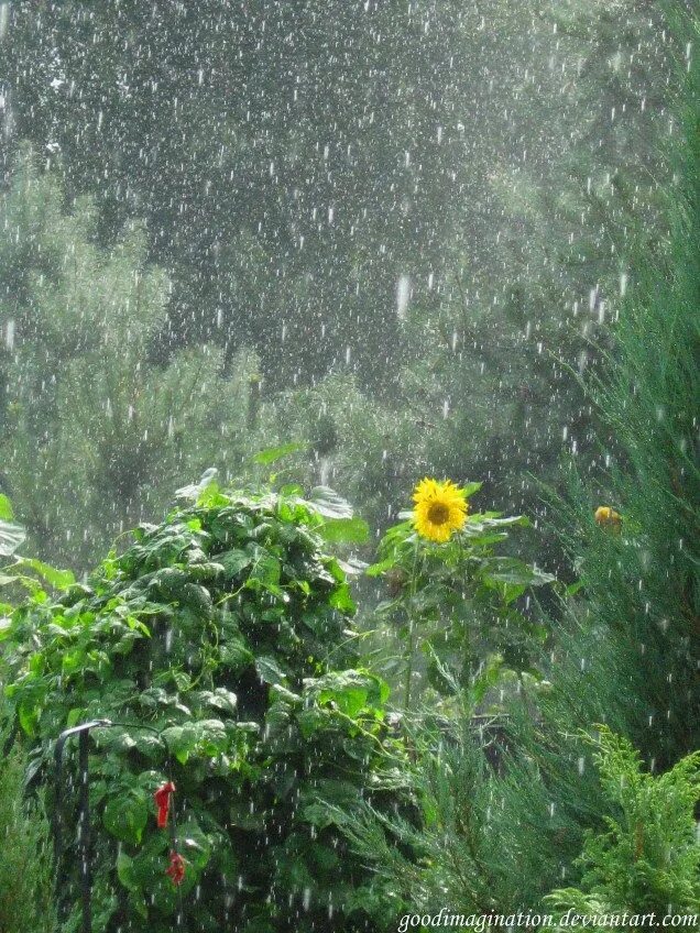 Rainbow Weather Nature, Nature aesthetic, Scenery