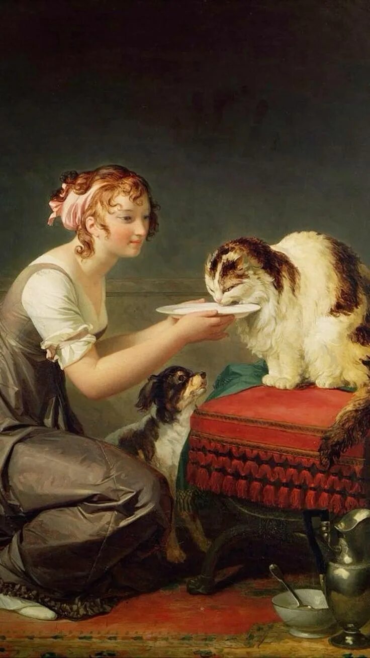 Женщина кормит кошек