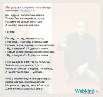 Песня мы друзья перелетные птицы текст