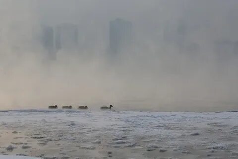 Зима в красноярске 2023