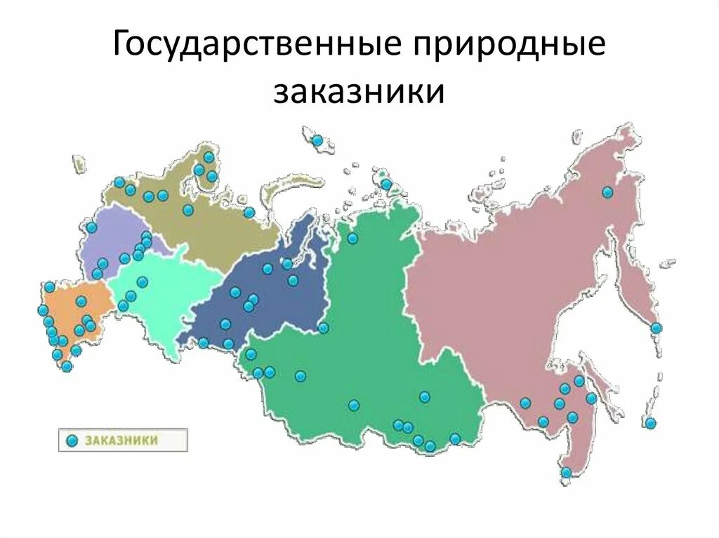 Национальные парки на контурной карте. Карта нац парков России. Карта заповедников и нац парков России. Карта России заповедники и национальные парки России. Крупнейшие заповедники и национальные парки России на карте.