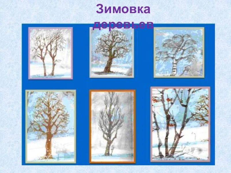 Как определить деревья зимой. Зимние деревья и кустарники. лиственные растения зимой. лиственные деревья зимой. растения зимой для дошкольников.