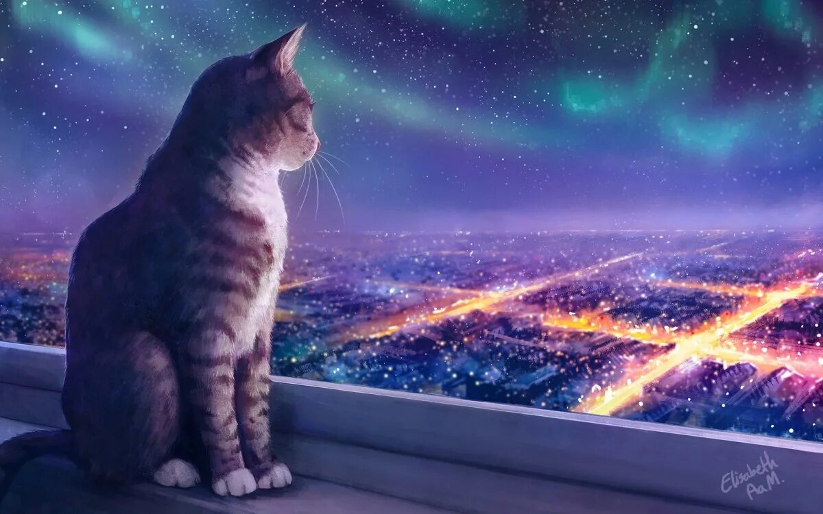 Кот ночью. Космический кот. Котик в космосе. Кот и звездное небо. Песня кошка ночь