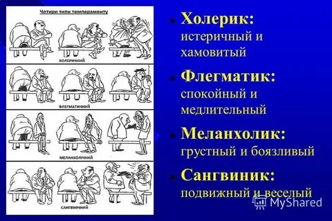 Сангвиник флегматик характеристика тип темперамента