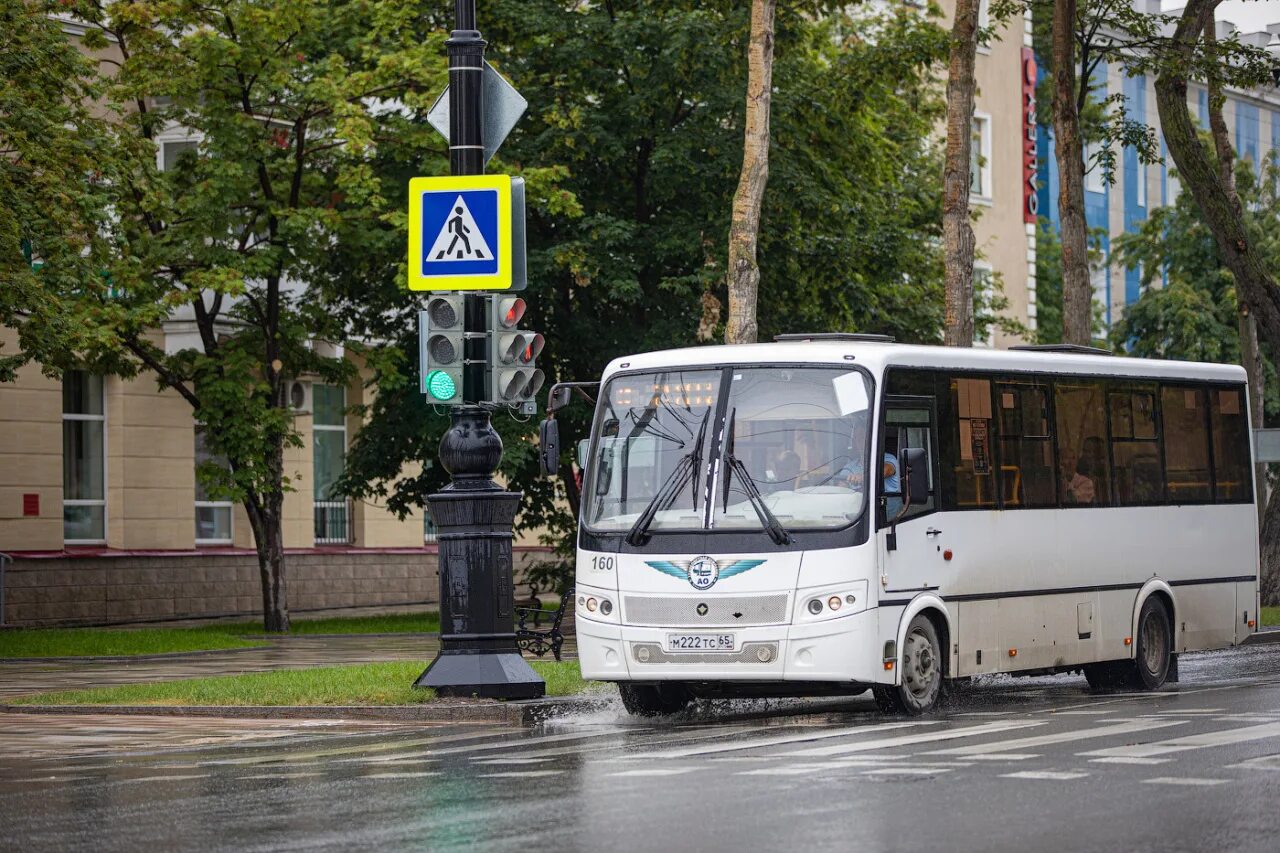 Украинские автобусы. Новые автобусы. Дополнительный маршрут. Автобус в городе. Отследить автобус южно