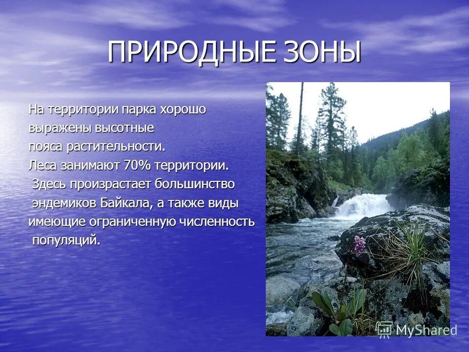 Бурятия какая природная зона. Природные зоны Байкала. Байкальская природная зона. Прибайкальский национальный парк природные зоны. Байкальский заповедник природная зона.