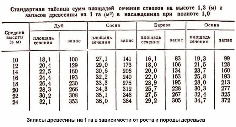 Ствола на высоте 1 3. Возраст дерева по диаметру ствола таблица. Рассчитать Возраст дерева по диаметру ствола. Толщина ствола и Возраст дерева. Диаметр ствола и Возраст дерева.