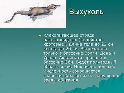 Вымершие отряды млекопитающих