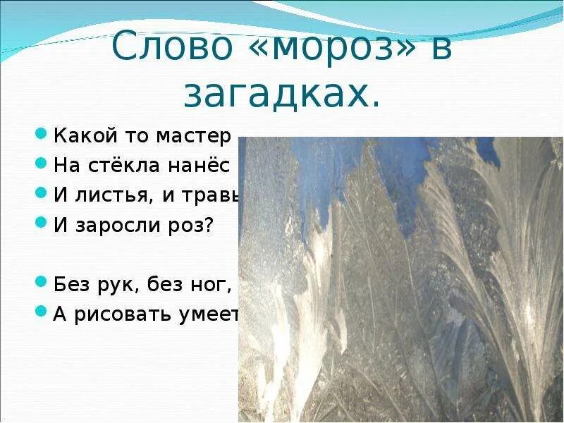 Подберите к слову мороз слова. Слово Мороз. Проект со словом Мороз. Проект о слове Мороз. Без рук без ног а рисовать умеет.