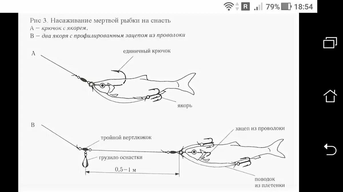 Простая снасть для ловли щуки на живца. охота рыбалка Дзен