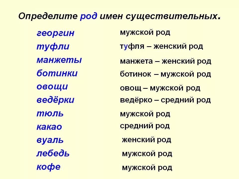 Слова исключения женского рода