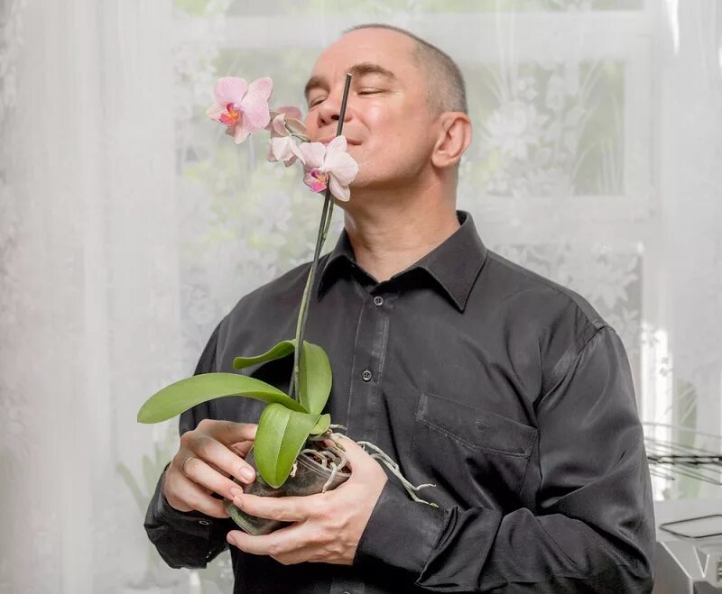 Парень с орхидеей. Мужчина дарит орхидеи. Мужчина с орхидеей в руках. Орхидеи в мужских руках. Подарили орхидею в горшке