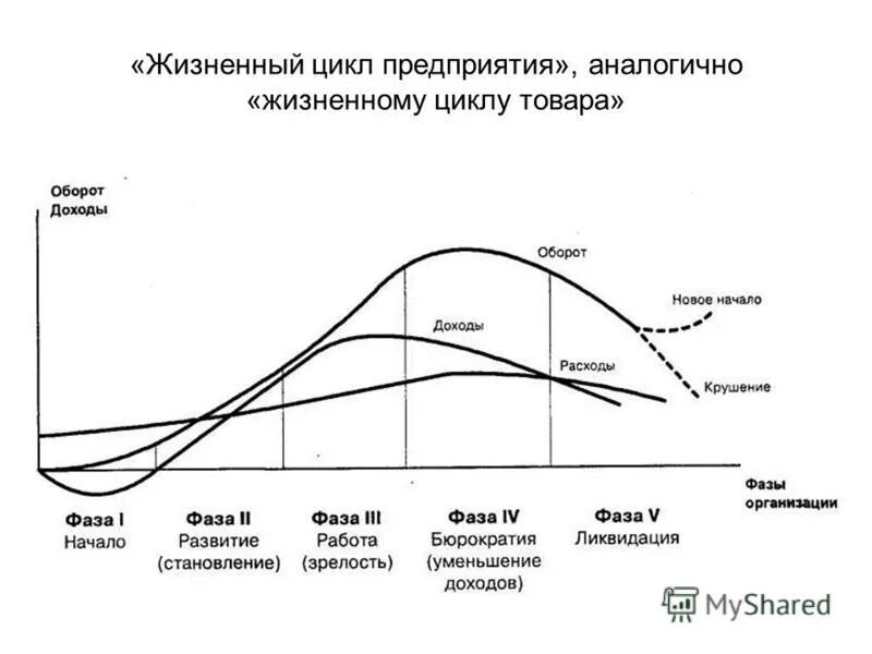 Стратегия и жизненный цикл предприятия. Стратегия и жизненный цикл предприятия