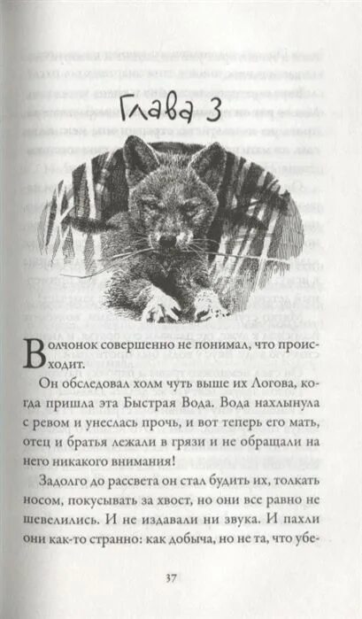 Брат волк книга. Мой волк книга. Брат мой волк.