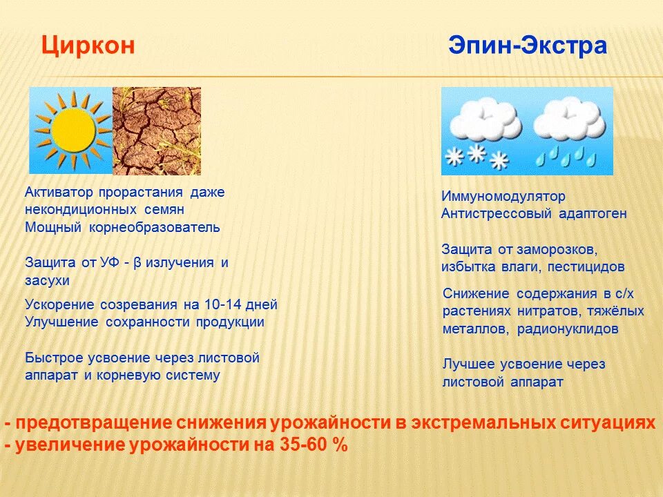 Можно ли эпин под корень. Эпин Экстра НЭСТ. Эпин и циркон. Эпин Экстра и циркон. Циркон дозировка.