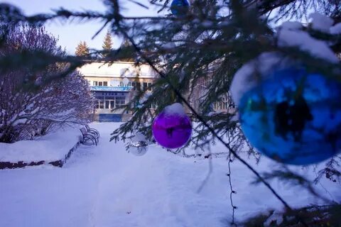 Отдыха бузим красноярск