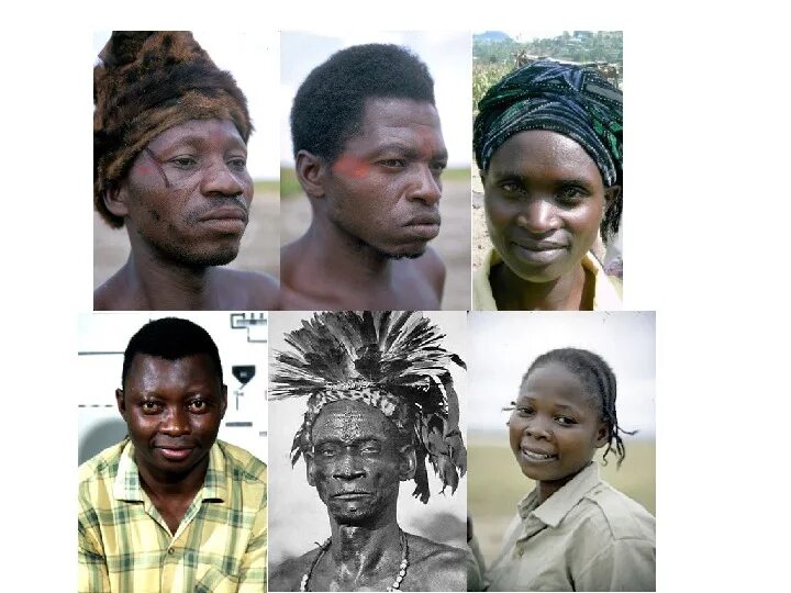 Человеческая раса негроидная. Негроидная раса раса. Негроидная Африканская раса. Народы негроидной расы в Африке. Негроидная раса негрская малая раса.