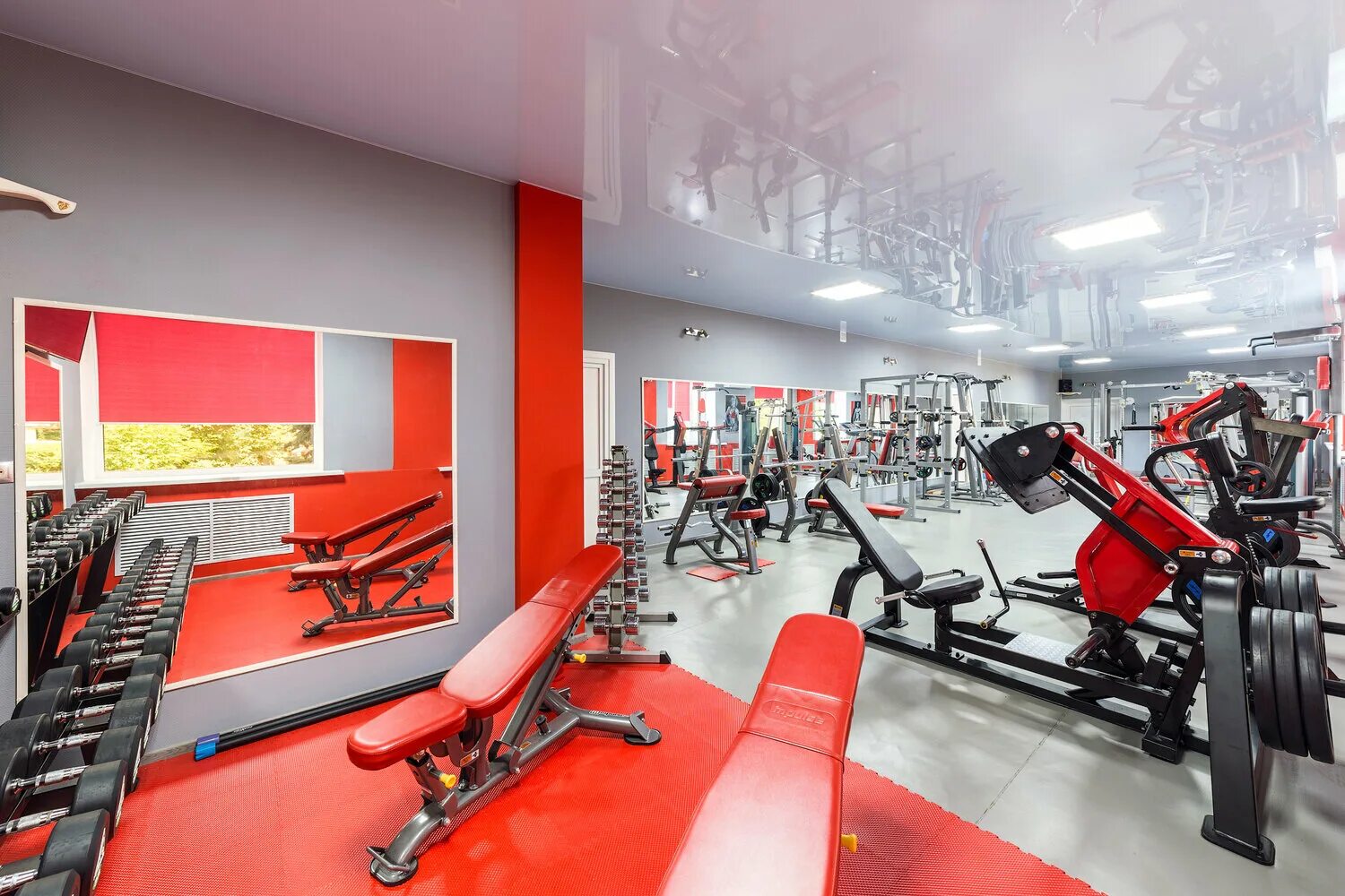 Зевс тренажерный зал новосибирск. Спортзал зевс новосибирск затулинка. Зевс новосибирск спортклуб зорге. Зевс тренажерный. Зевс тренажерный.