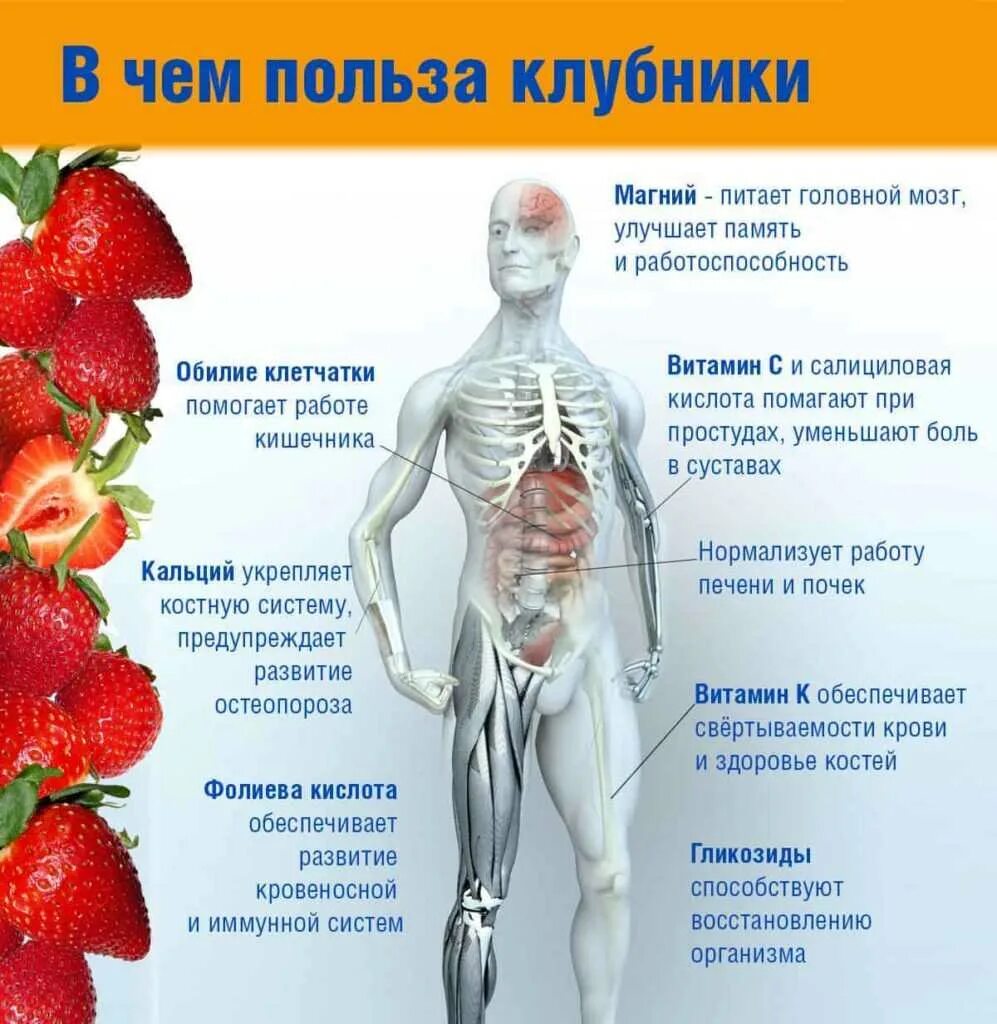 Клубника польза для здоровья