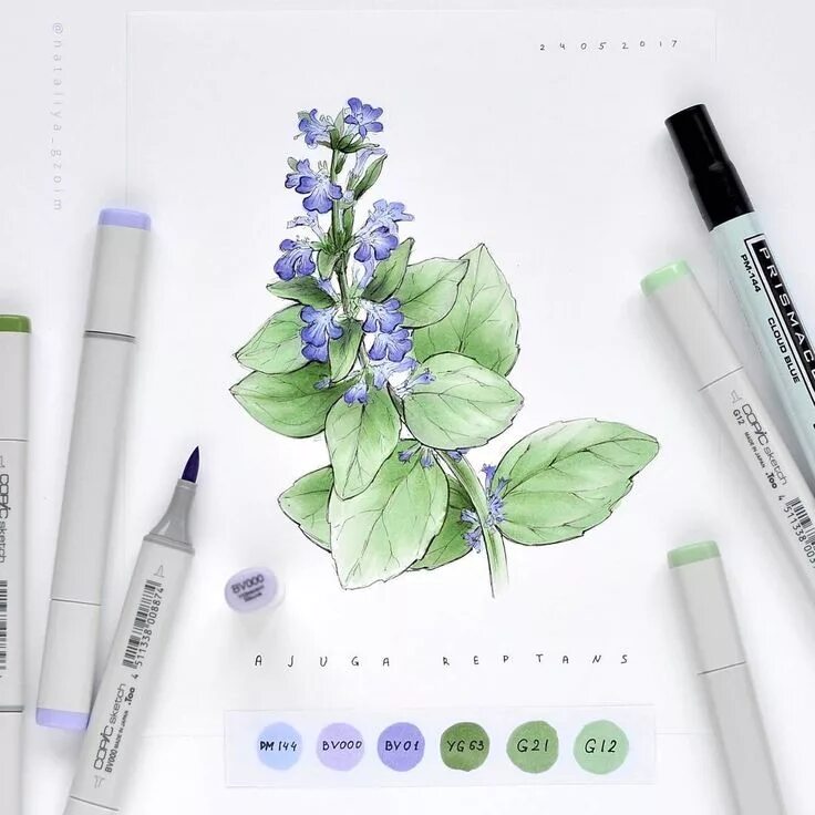 Скетчбуки sketchmarker