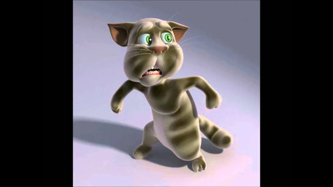 Talking tom 2010. Talking Tom 1997. Игра talking Tom Cat (2010). Talking Tom Cat 2011. Talking Tom 2005.