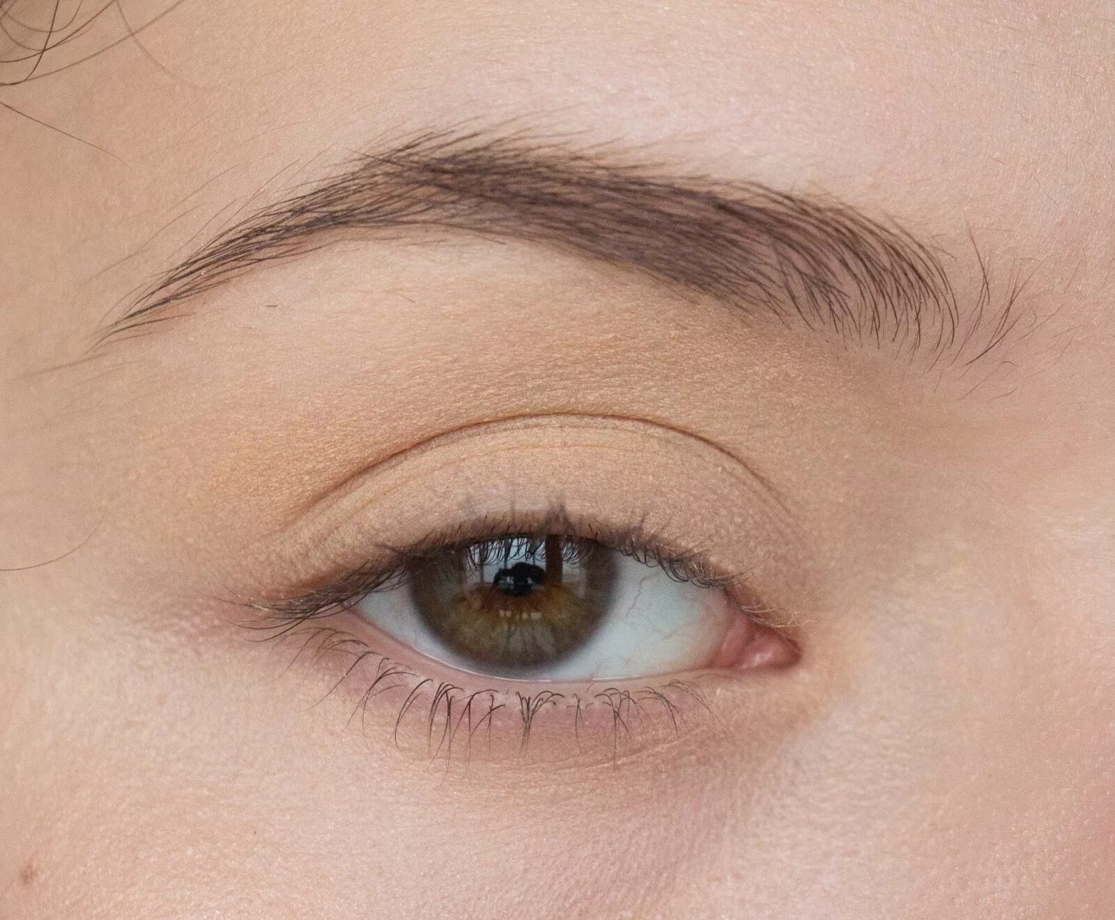 Beautydrugs Brow Liner. Beautydrugs маркер для бровей Brow Liner b2. Kim Brown Liner. Line on Eyebrow.