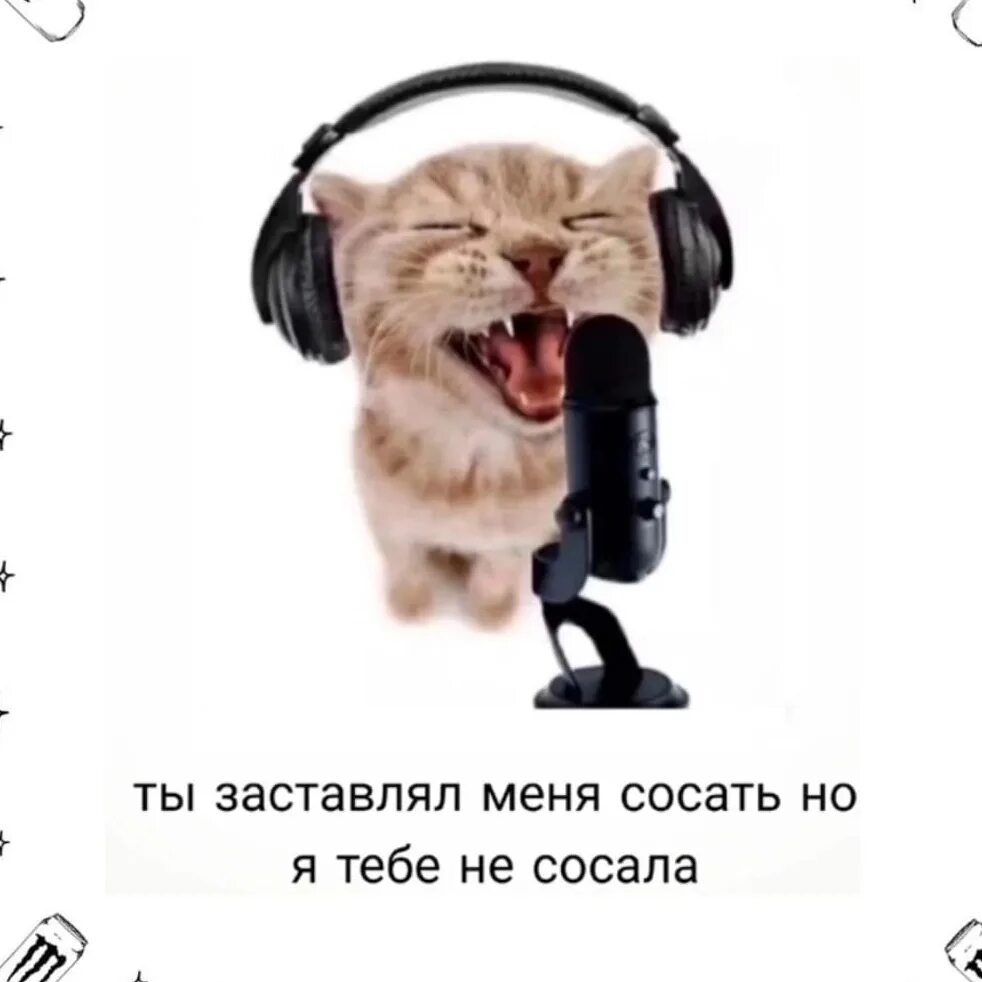 Кот поет в микрофон. Кот поет. Рэп кошки. Котик поет в микрофон. Кот поет в микрофон нейросеть.
