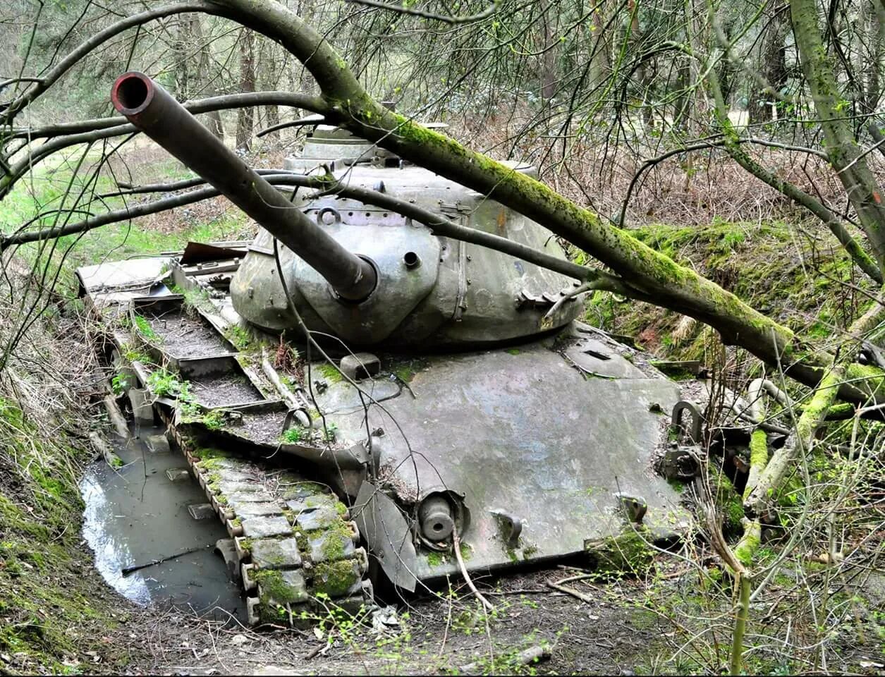 Эхо военные. Заброшенный танк т34 в Ленобласти. Раскопки второй мировой войны танки. Кладбище танков т34 СССР И России. Заброшенные танки т 34.