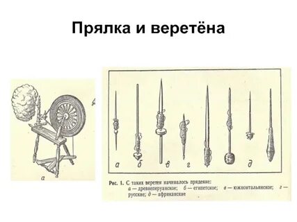 Схема веретена