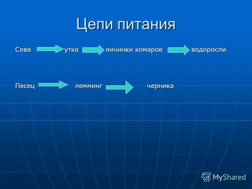 Цепь питания филина