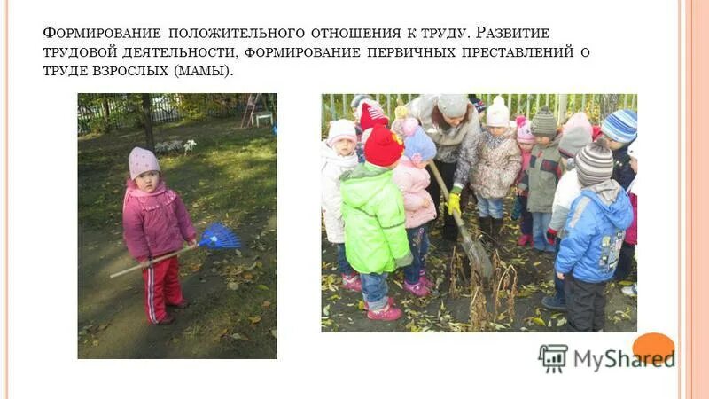 Цель взрослого труда. Цель трудового воспитания дошкольников. Трудовое воспитание задачи воспитания. Трудовое воспитание дошкольников в доу. Формирование положительного отношения к труду.