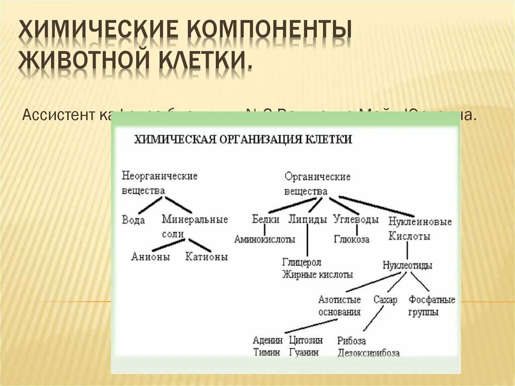 Химическая организация живого. Химическая организации ккклеток. Химическая организация клетки схема. Химическая организация клетки неорганические вещества клетки. Схема хим организации клетки.