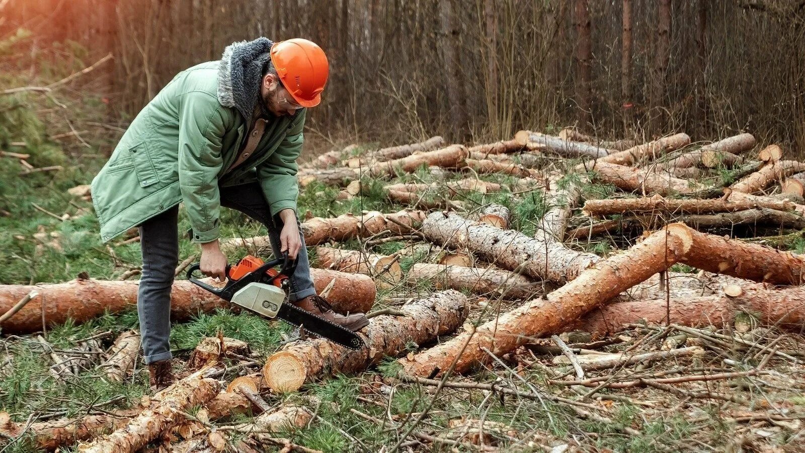 Cut down forest. Вырубка деревьев для строительства. Вырубка леса для строительства. Вырубка лесов для строительства. Рубка леса для строительства дома.