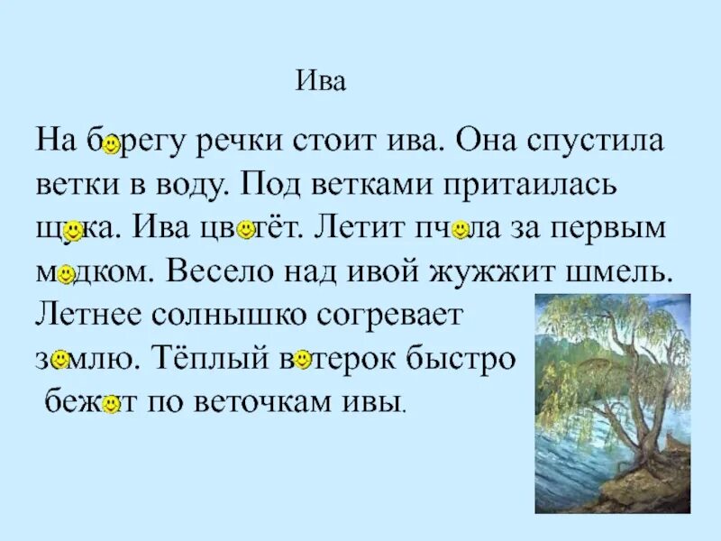 На берегу речки стоит Ива. На берегу речки стоит Ива.она спустила ветки в воду. Рассказ про иву. Ива над рекой сочинение. Ива над заглохшей рекой 5 класс