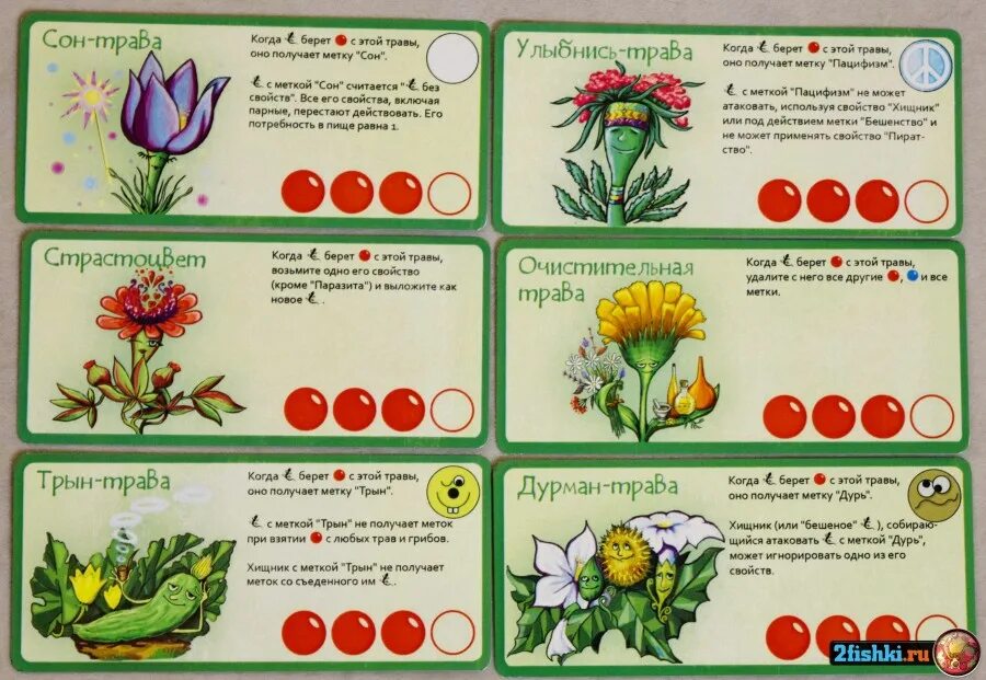 Эволюционное дерево живого мира. Эволюция грибы и растения. Эволюция грибы и растения. Эволюция грибы и растения. Настольная игра правильные игры эволюция: трава и грибы.