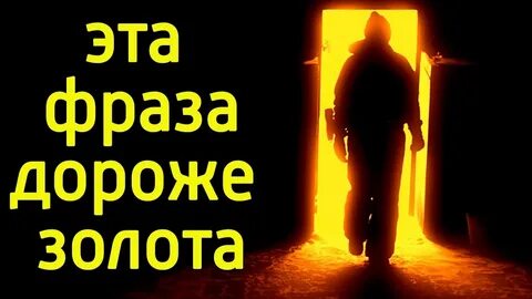 Фраза дорогого стоит