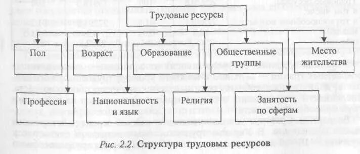 Структура трудовых ресурсов характеристики трудовых ресурсов. Структура трудовых ресурсов схема. состав и структура формирование трудовых ресурсов. схема трудовых ресурсов предприятия. трудовые ресурсы схема.