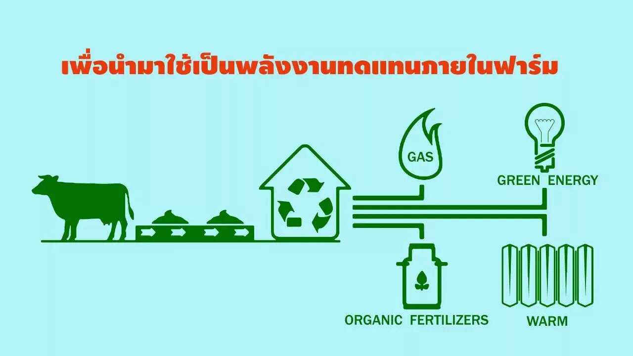 Использование отходов для энергии. Отходы для биогаза. биотопливо. переработка отходов животноводства. газообразное биотопливо.