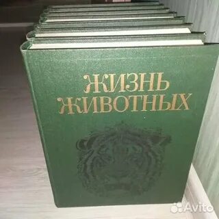Жизнь животных 7 том