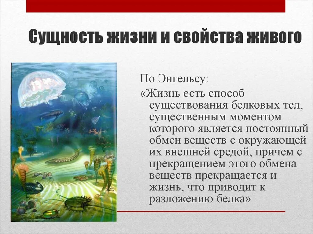 Примеры жизненных свойств. Сущность жизни и свойства живого. Определение сущности жизни. Сущность жизни биология. Сущность это в биологии.