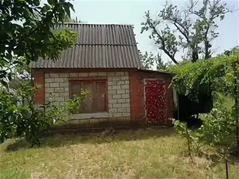 Краснодарский край дачи. Елизаветинские дачи краснодар. Краснодарский край, г. Елизаветинские дачи краснодар. Елизаветинские дачи краснодар.