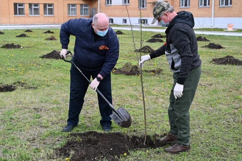 Озеленители высаживают цветы. Сад памяти в школьном дворе. Лопатнски1 сад при взрде. Сегодня мы будем садить. Посадили 56 деревьев