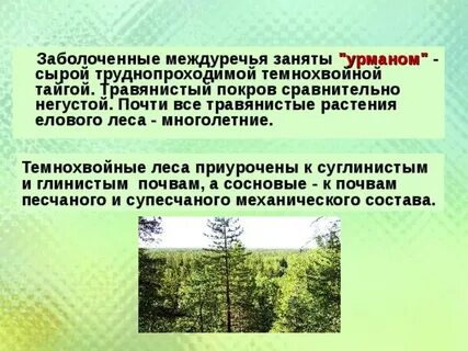 Признаки леса