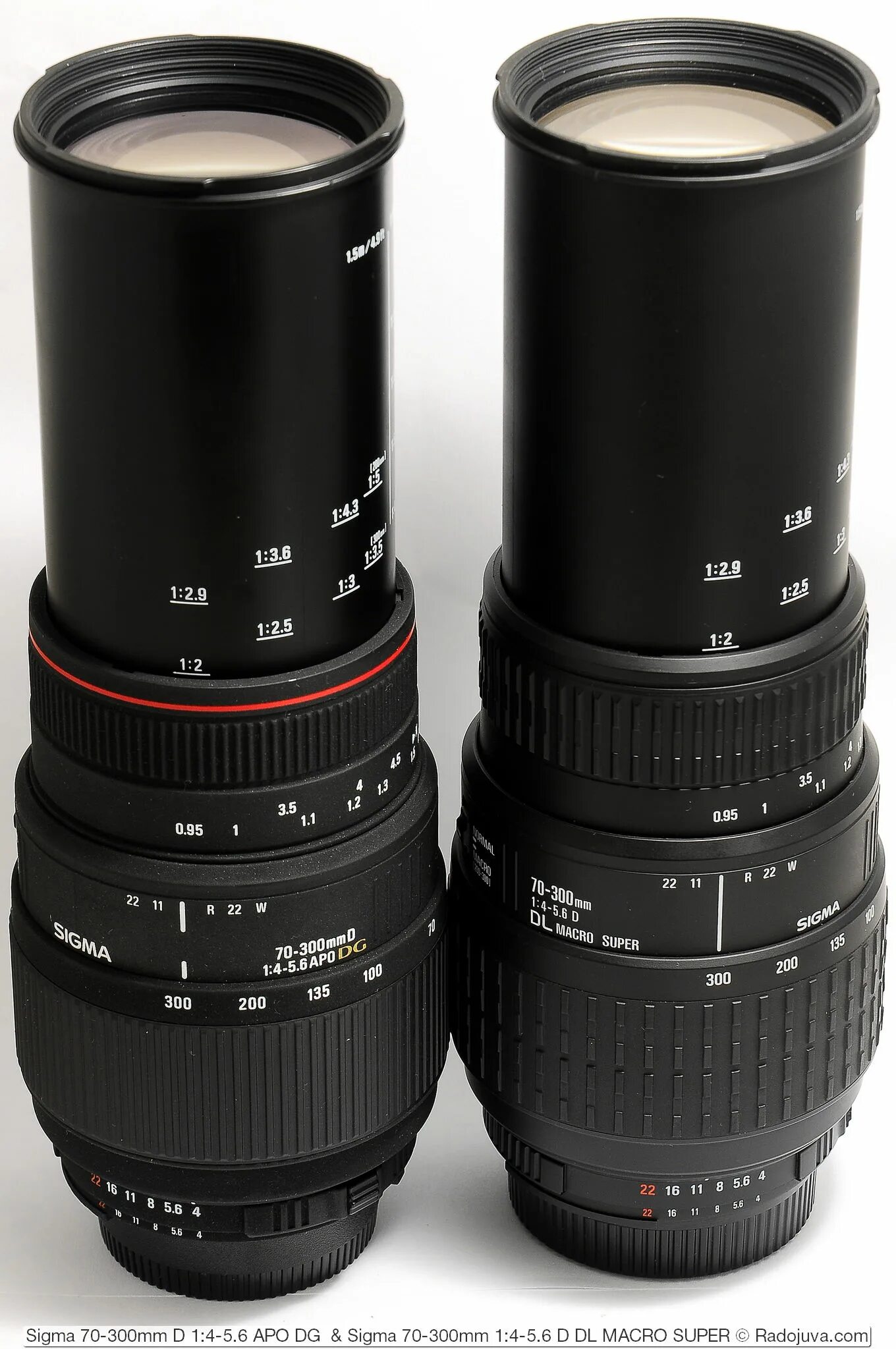 Sigma 70-300mm d 1:4-5.6 apo DG. Sigma 70-300 Nikon. Объектив Canon Sigma DG 70-300mm. 70-300 DG macro 4-5.6 apo Sigma. Sigma 70 300mm macro