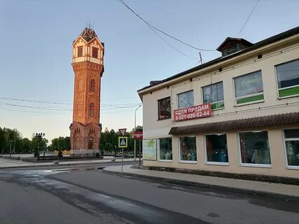 Кедр старая русса