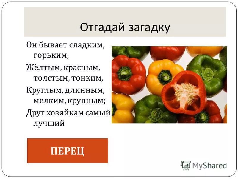 1 класс он перец класс. 1 класс он перец класс