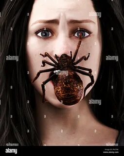Spider fear woman hi-res stock photography and images - Alamy 