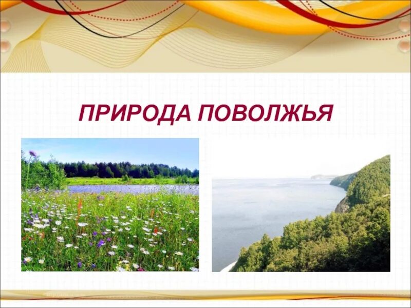 Природные условия и ресурсы поволжья. Формы рельефа поволжья на карте. Природа поволжья. Климат поволжья. Рельеф поволжья карта.
