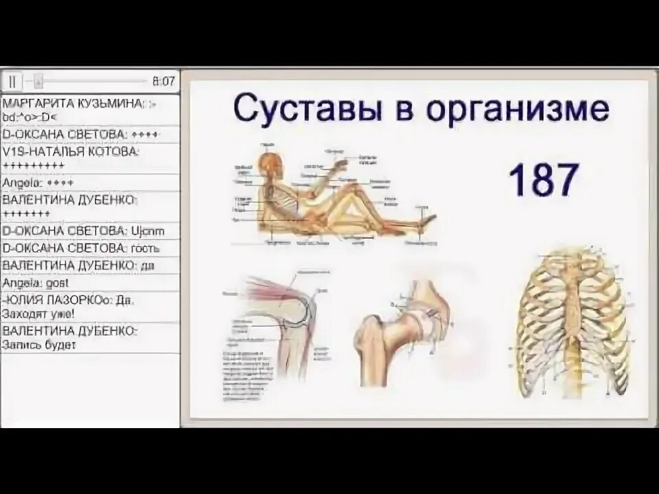 Суставы в теле. Суставы в организме человека. Суставы в теле человека. Сколько суставов у человека.